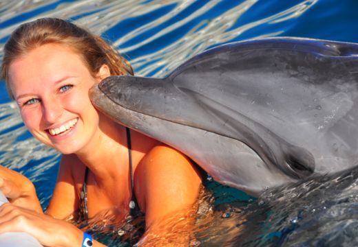 Плавание с дельфинами в Бодруме