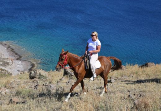 Прогулка на лошадях в Бодруме